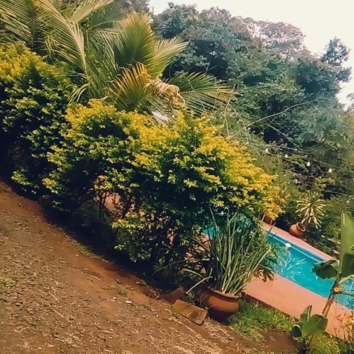 Hotel Y Residencial Amigos Puerto Iguazú Buitenkant foto