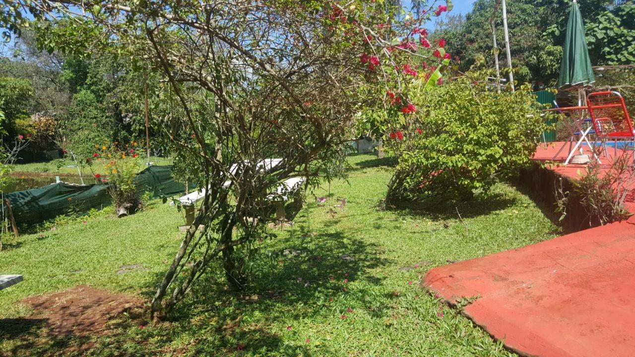 Hotel Y Residencial Amigos Puerto Iguazú Buitenkant foto
